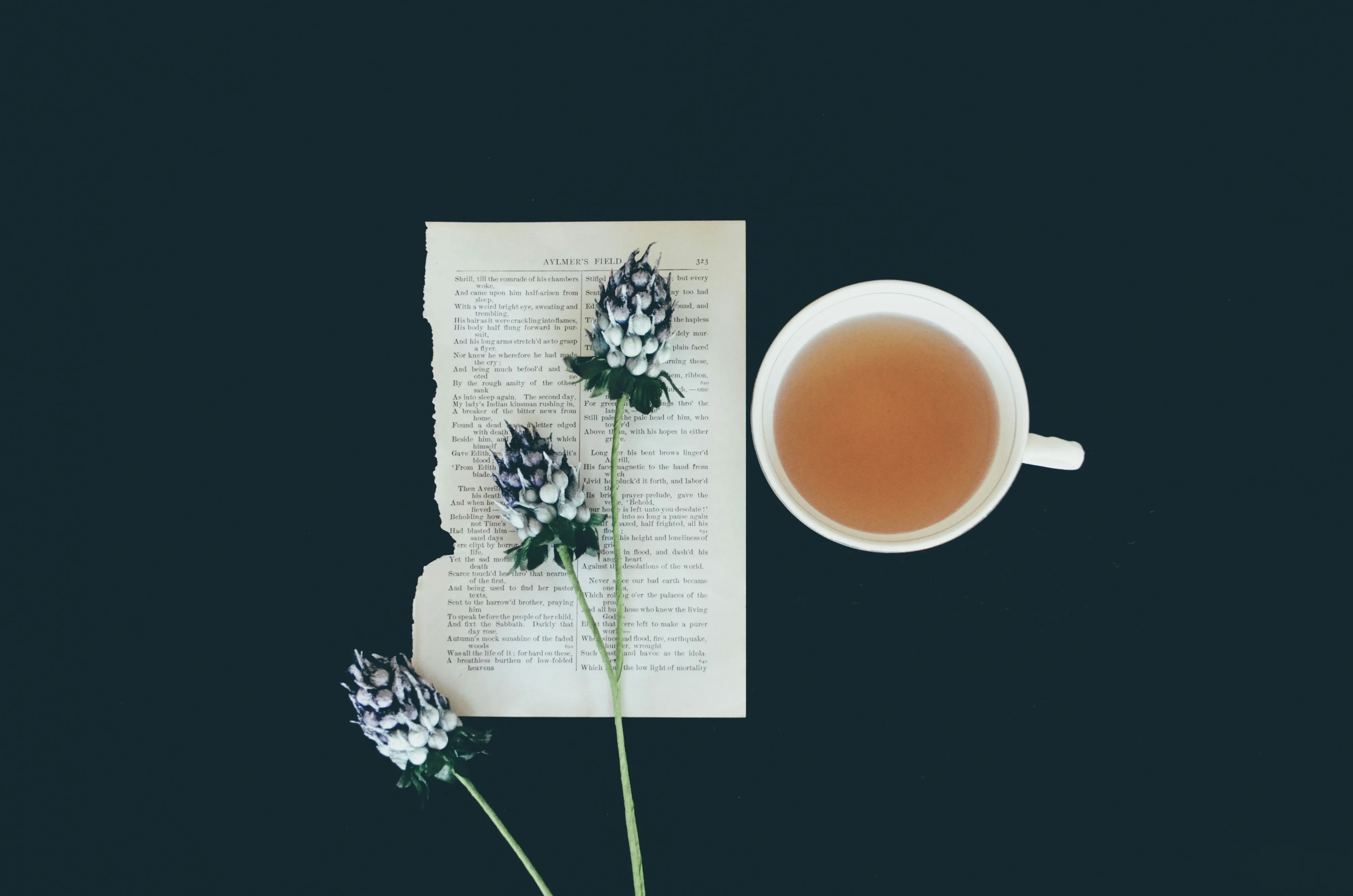 A person writing in a gratitude journal with a cup of tea nearby, evoking warmth and reflection